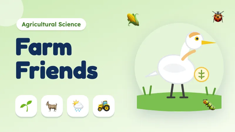 Farm Friends cover: Ada the cattle egret beside a field of maize, with a ladybird and a caterpillar